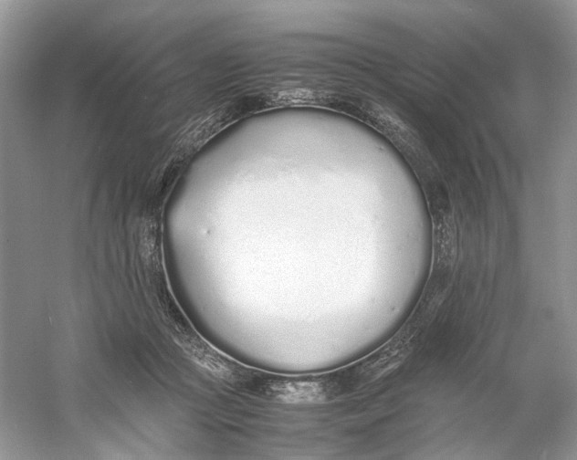 X0000060750361200512011453
