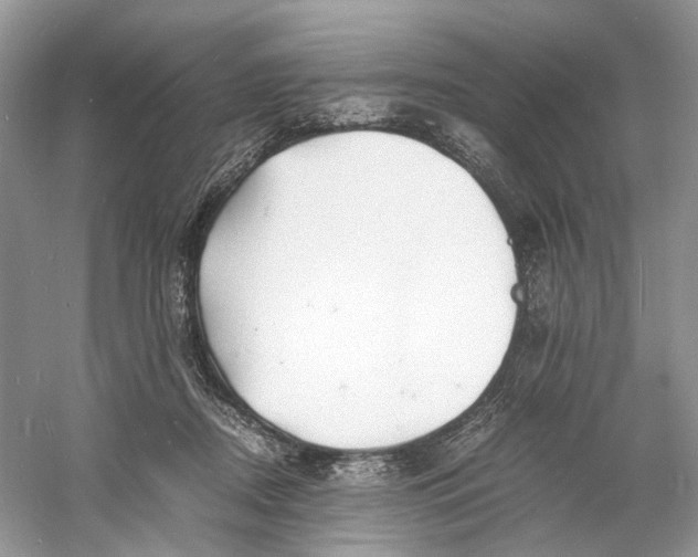X0000060750362200512011453