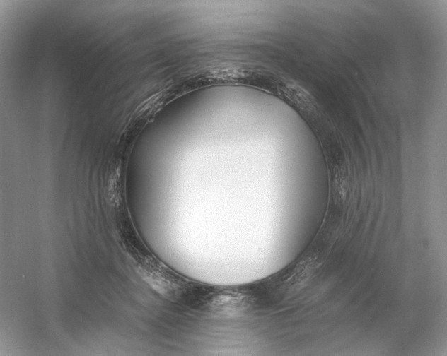 X0000060750364200512011453