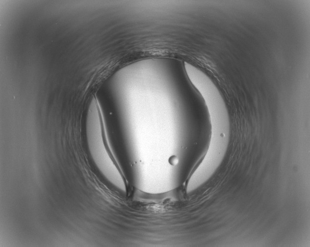 X0000060750365200512011453