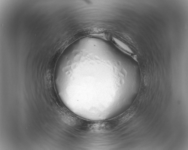 X0000060750366200512011453