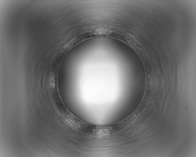 X0000060750368200512011453