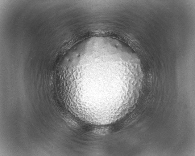X0000060750369200512011453