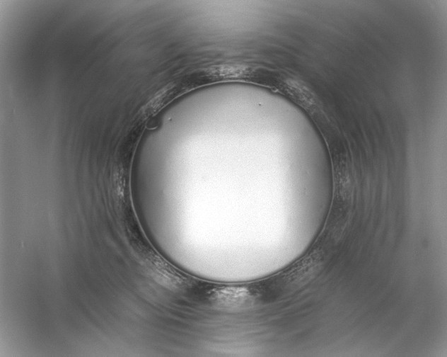X0000060750374200512011453