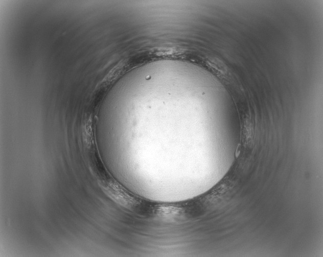 X0000060750376200512011453