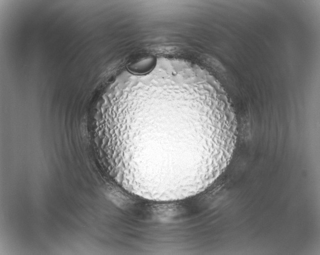 X0000060750377200512011453