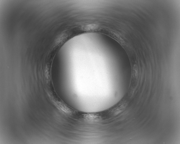 X0000060750380200512011453
