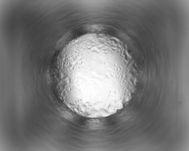 X0000060750381200512011453