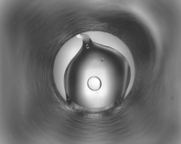 X0000060750383200512011453