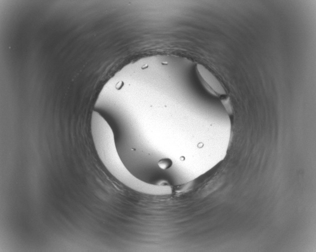 X0000060750384200512011453