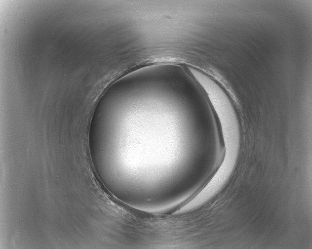X0000060750385200512011452