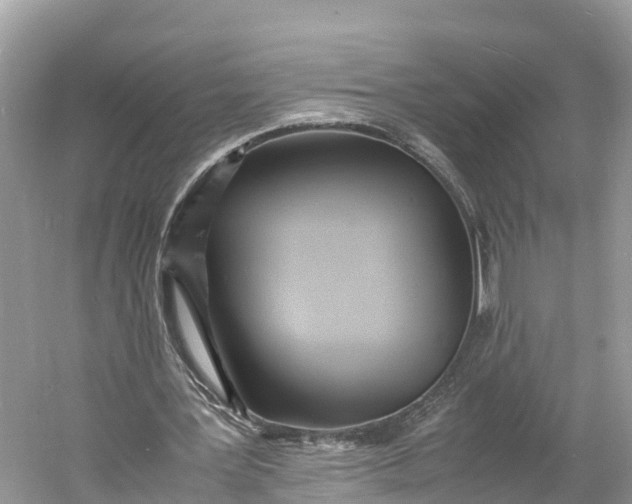 X0000060750387200512011452