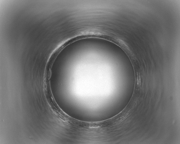 X0000060750388200512011452