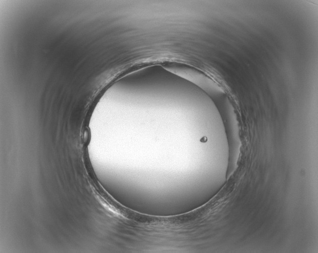 X0000060750389200512011452