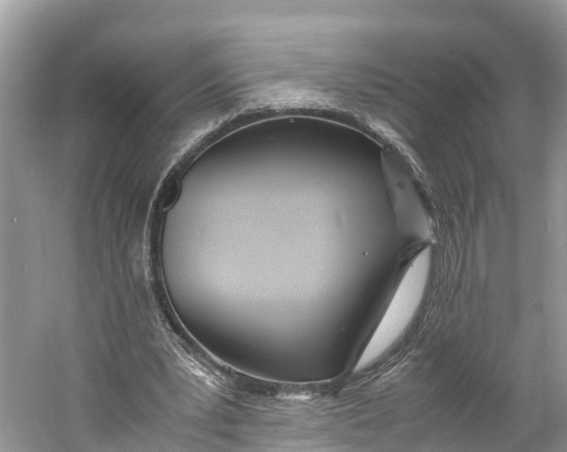 X0000060750391200512011452