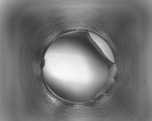 X0000060750393200512011452