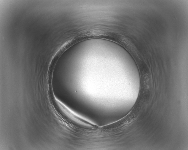 X0000060750395200512011452