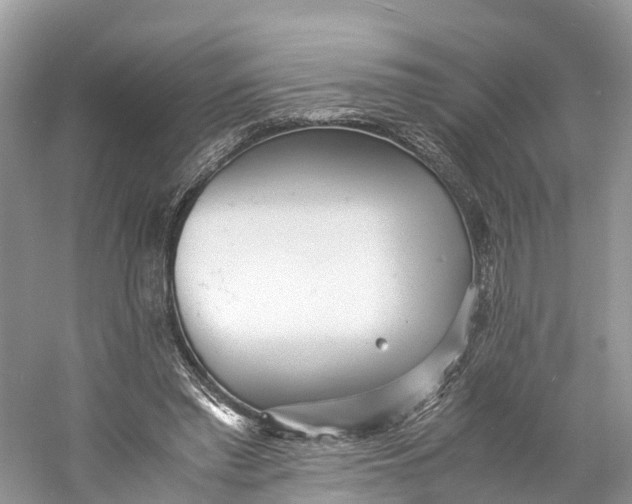 X0000060750397200512011452