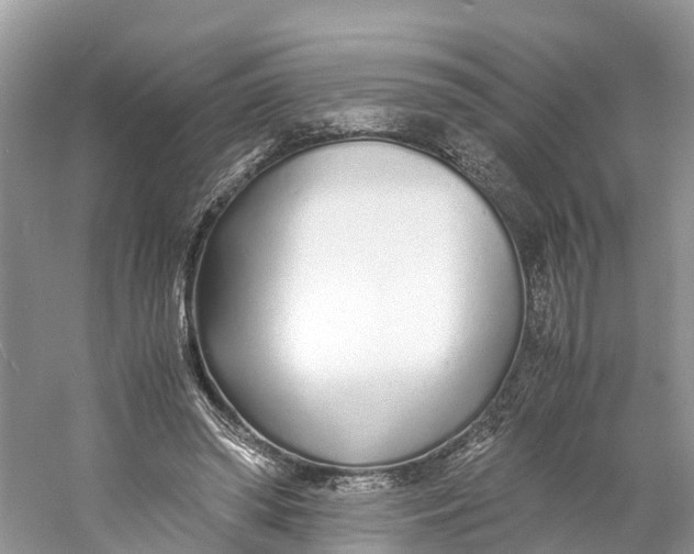 X0000060750398200512011452