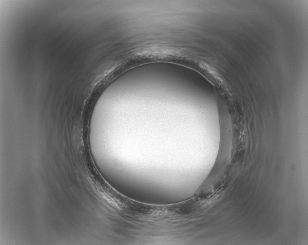 X0000060750399200512011452