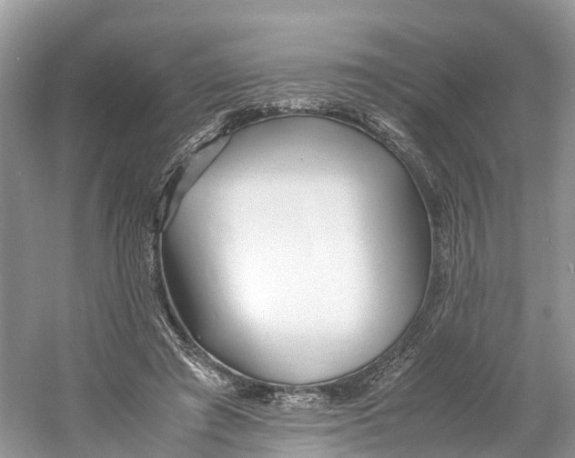 X0000060750401200512011452