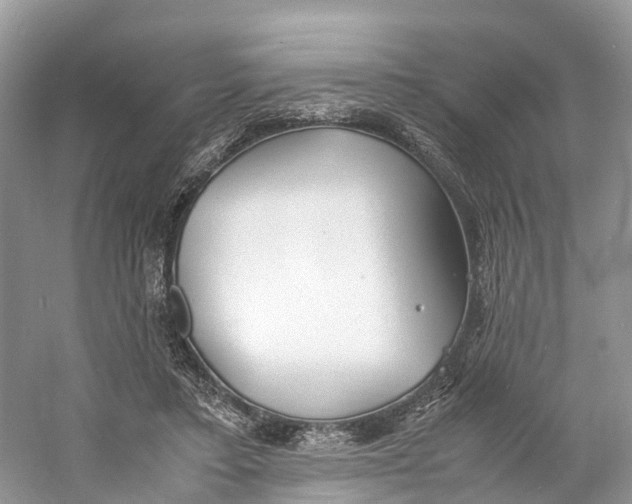 X0000060750403200512011452