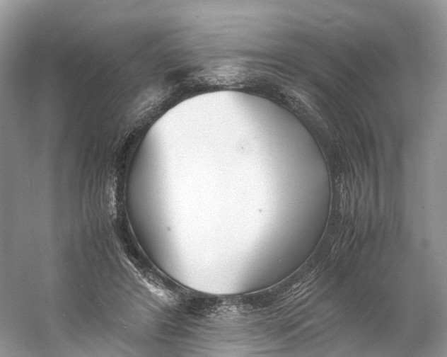 X0000060750404200512011452