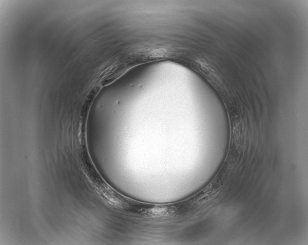 X0000060750406200512011452