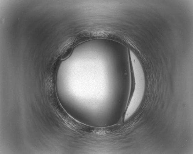 X0000060750407200512011452