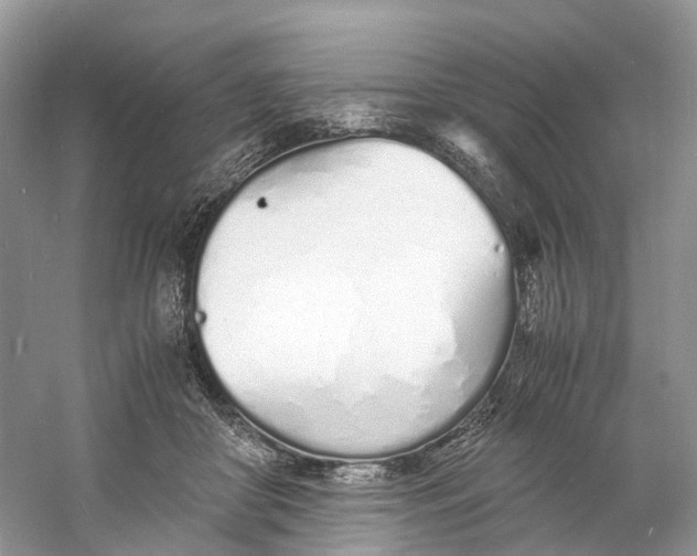X0000060750410200512011452