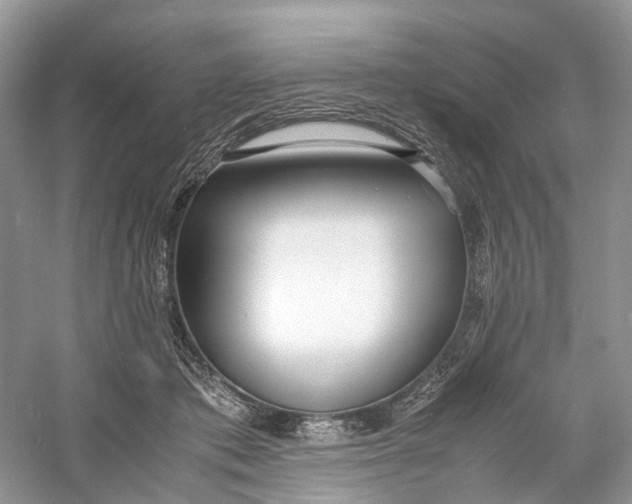 X0000060750413200512011452