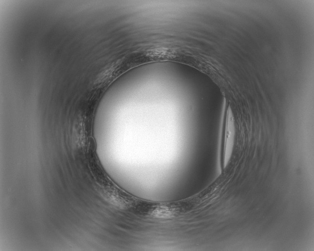 X0000060750416200512011452