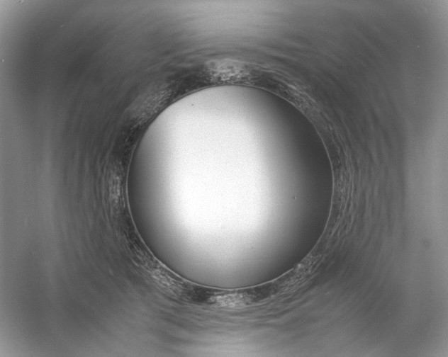 X0000060750417200512011452