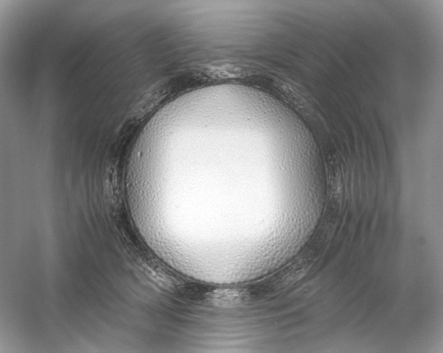 X0000060750418200512011452