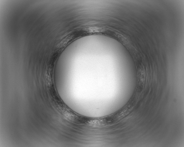 X0000060750422200512011452