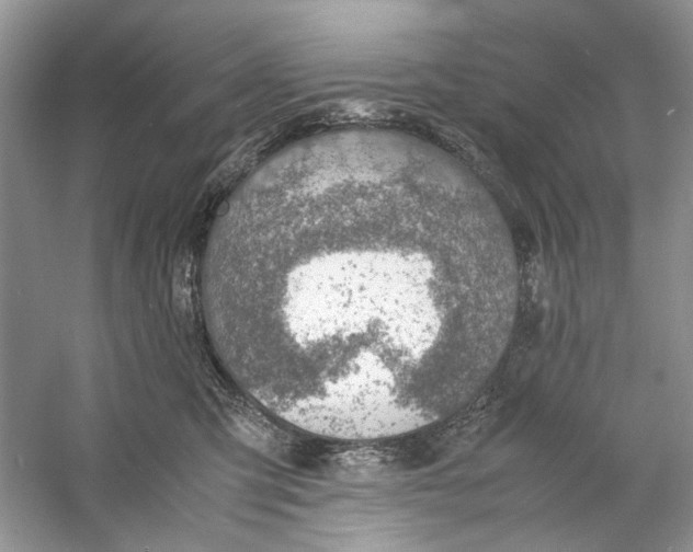 X0000060750423200512011452