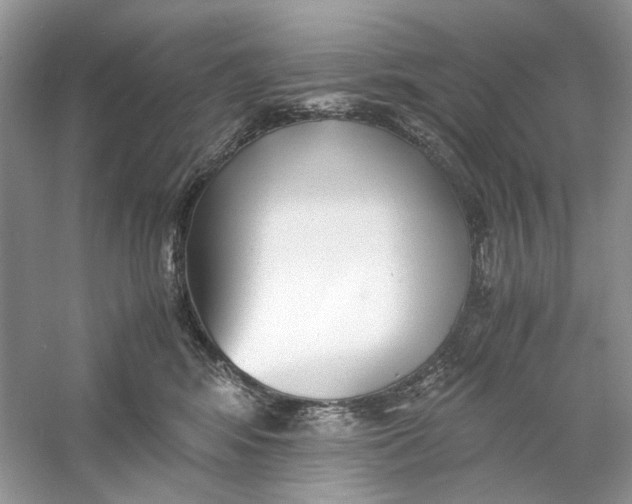 X0000060750424200512011452