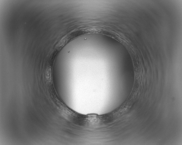 X0000060750425200512011452