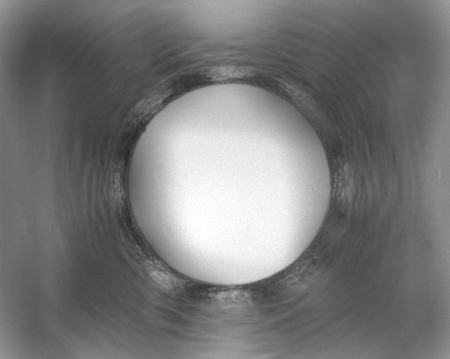 X0000060750426200512011452