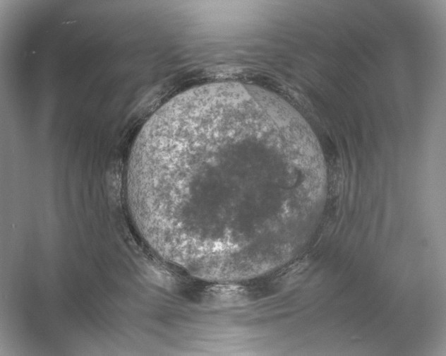 X0000060750427200512011452