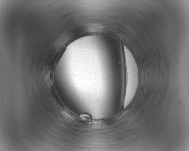 X0000060750428200512011452