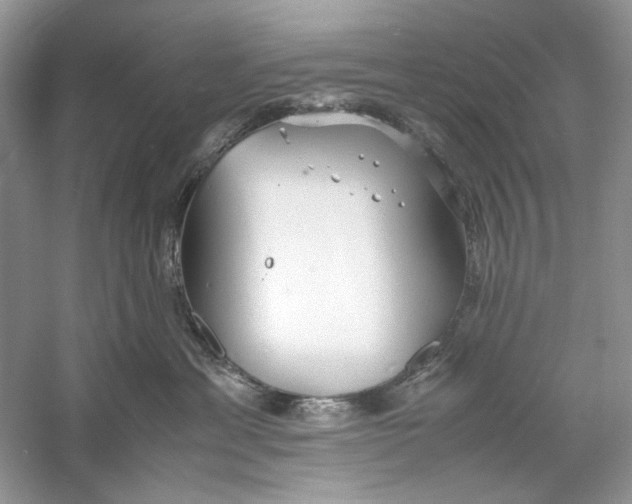 X0000060750429200512011452