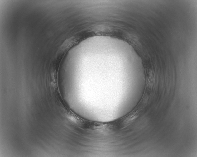 X0000060750430200512011452