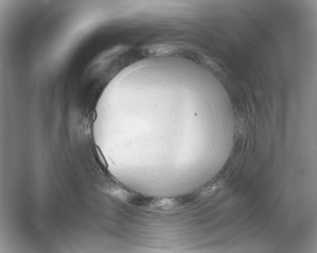 X0000060750431200512011452
