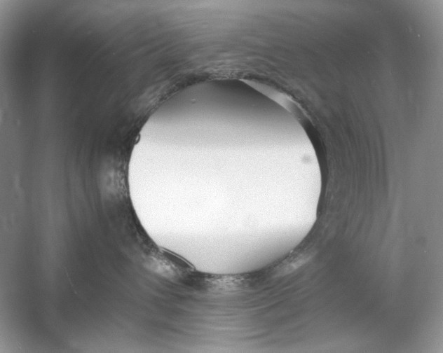 X0000060750432200512011452