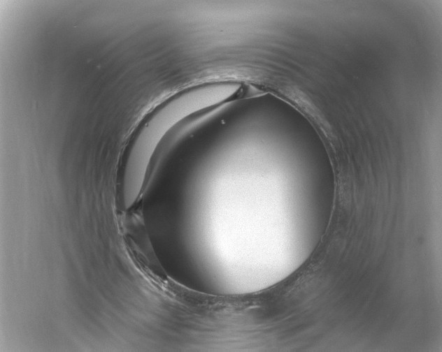 X0000060750434200512011451