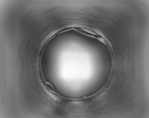 X0000060750437200512011451