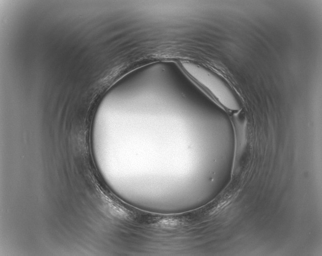 X0000060750441200512011451