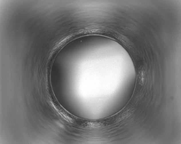 X0000060750442200512011451