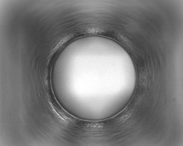 X0000060750443200512011451